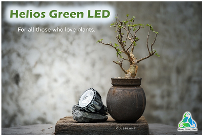 Helios Green LED
